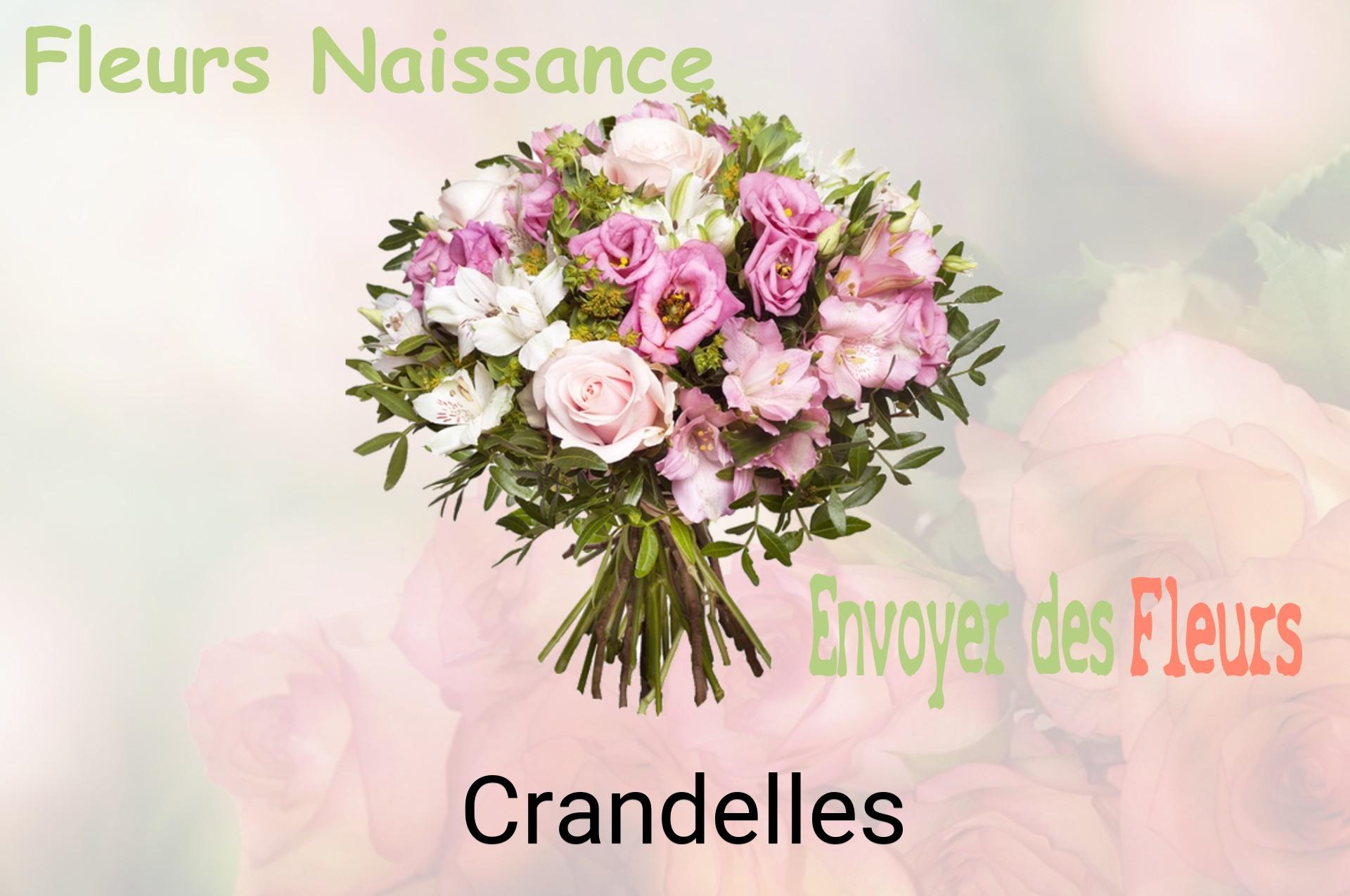 Bouquet de fleurs de naissance livré à Crandelles